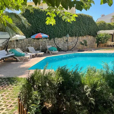 Villa Fethiye Willa